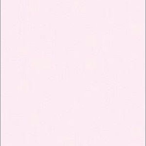 Meet your Posher, Eva